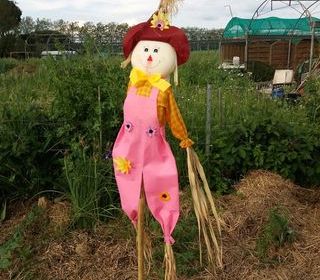  Terrain � louer 150 m�