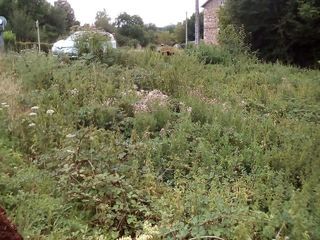  Terrain � vendre 1031 m�