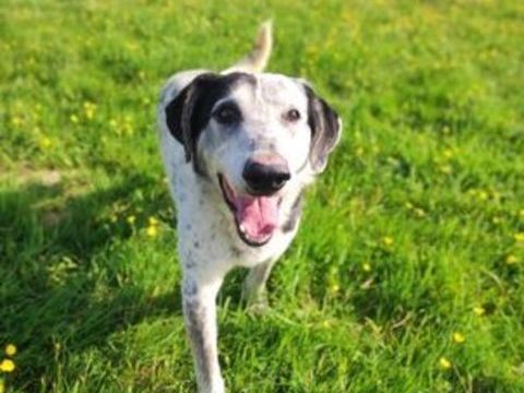 Yuvé 70 35000 Rennes