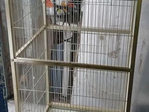 voliére pour petits exotiques 40 59124 Escaudain