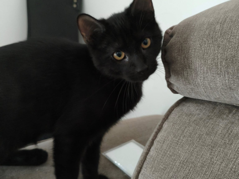 Lierre 1 44000 Nantes