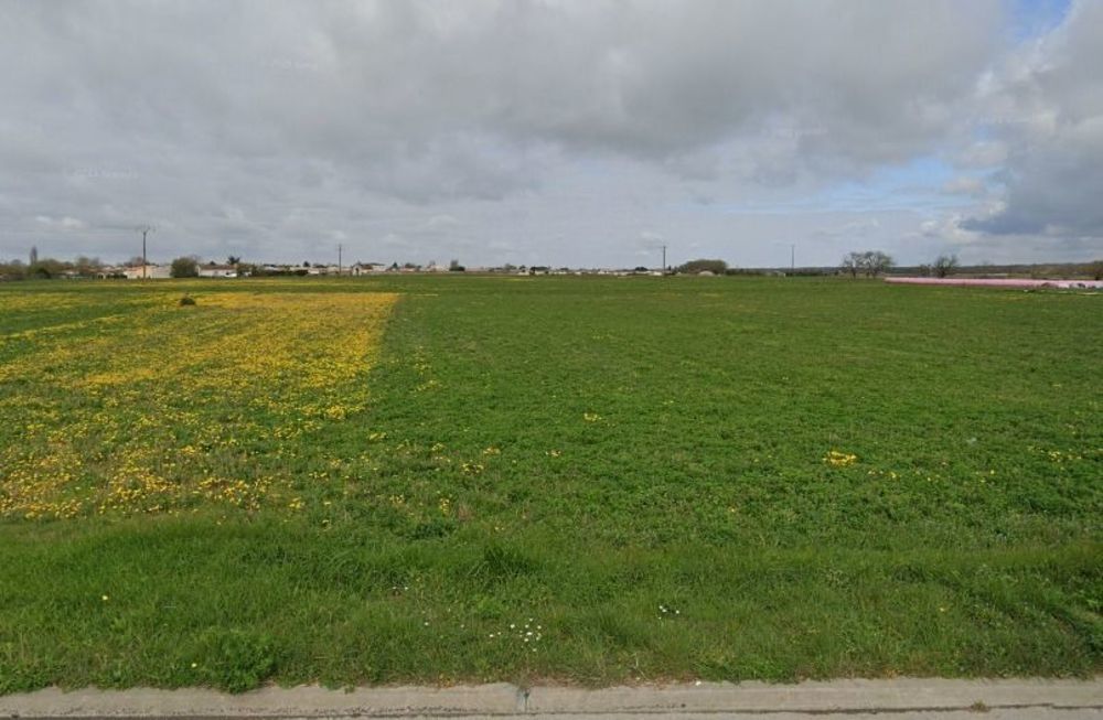 Maisons neuves   Nieulle-sur-Seudre (17600)