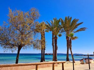  Appartement � louer 3 pi�ces 59 m�