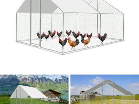 Pigeons 500 17500 Jonzac