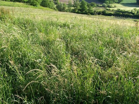 balle  ronde  foin 27 11500 Quillan