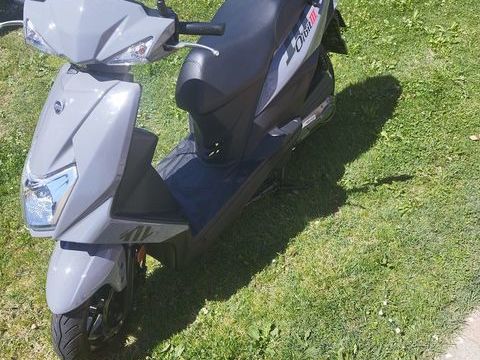 Scooter SYM 2024 occasion Salies-du-Salat 31260