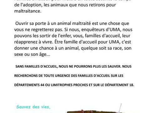 Recherche de familles d'accueil 1 44000 Nantes