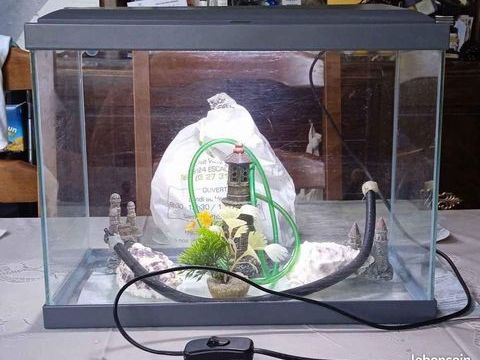 petit aquarium 30 59124 Escaudain