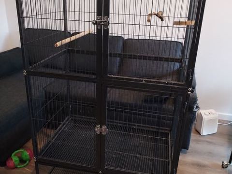 Voli&egrave;re Rectangle 125 77185 Lognes