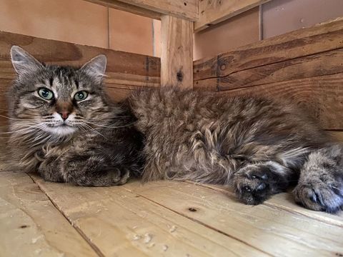 HIME 200 26700 Pierrelatte