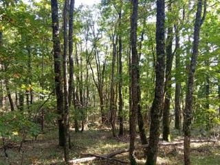  Terrain � vendre 90624 m�