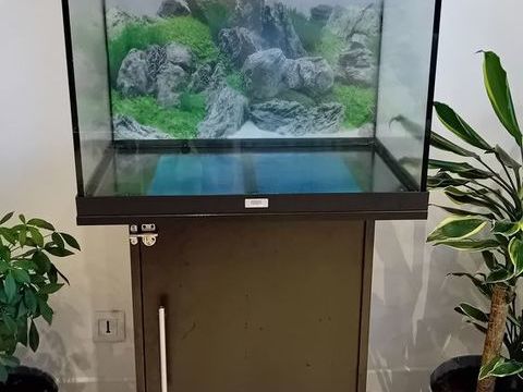 Aquarium Juwel 120 litres avec meuble noir 120 77190 Dammarie-les-lys