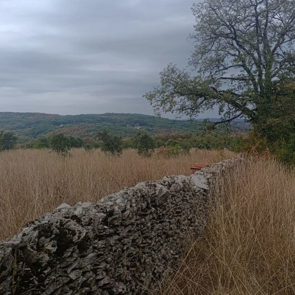 Vente Terrain Terrain truffier - 4.8Ha Thédirac