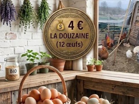 ?uf frais de nos poules heureuses. 4 31260 Salies-du-salat