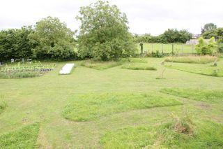  Appartement � louer 3 pi�ces 70 m�