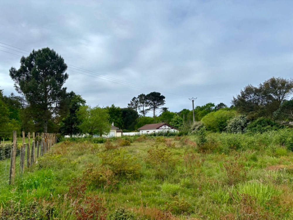 Maisons neuves   Mimizan (40200)