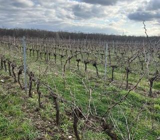  Terrain � louer 51000 m�