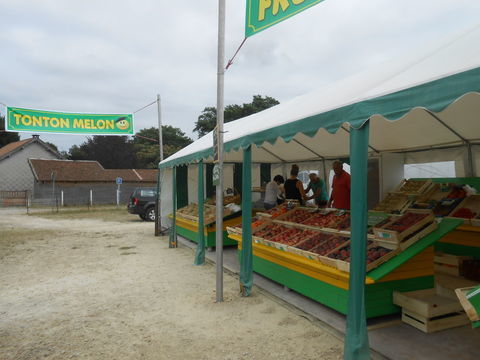 Barnum 40 m2 avenue de la plage Mimizan 2500 40200 Mimizan