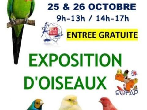 Canaris 1 62130 Croisette