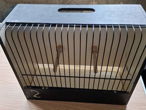 cage exposition 10 02100 Saint-quentin