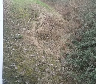  Terrain � vendre 3296 m�