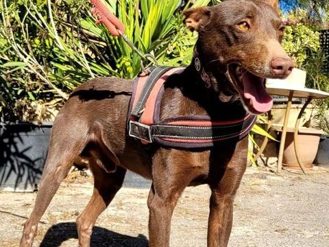 CASPER 300 27620 Gasny