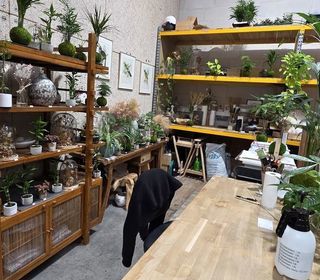  Atelier � louer 1 pi�ce 10 m�