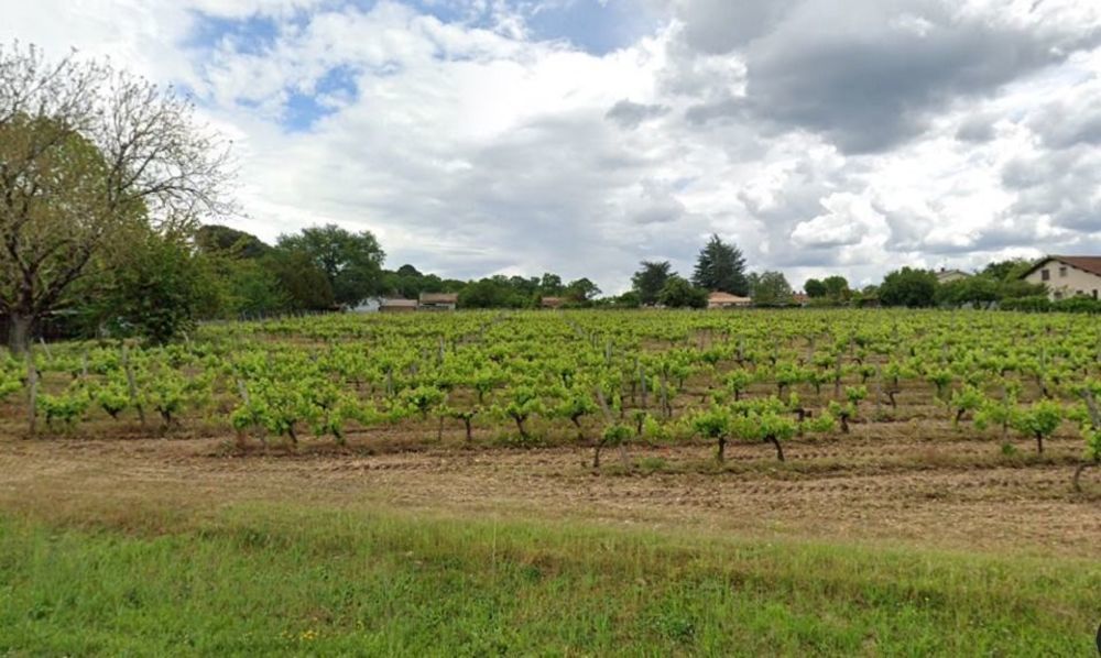 Maisons neuves   Castres-Gironde (33640)