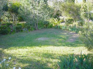  Terrain � vendre 1175 m�