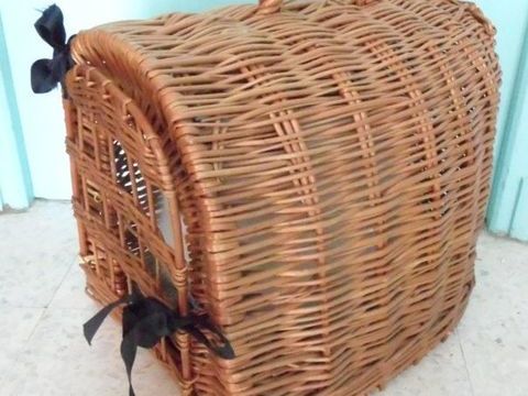 Panier transport de chat 8 95190 Fontenay-en-parisis