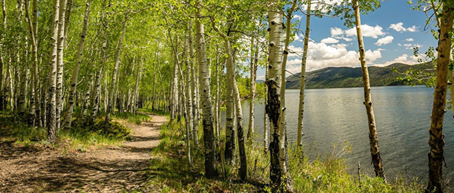 Agence TONNEINS IMMOBILIER Tonneins