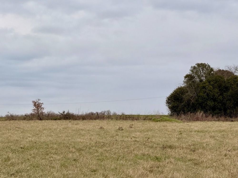 Maisons neuves   Saint-Aubin-de-Lanquais (24560)
