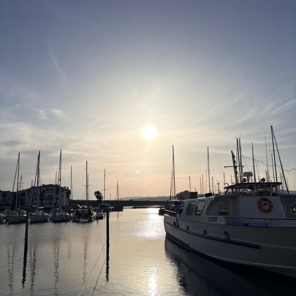   Appartement COSY. Tout a pieds ( Port et pPage) Languedoc-Roussillon, Port Leucate (11370)