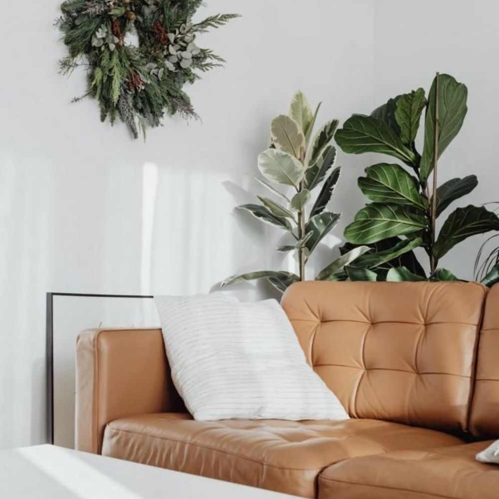 Appartements neufs   Toulouse (31300)