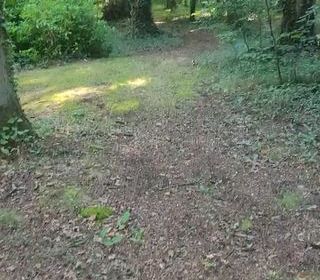  Terrain � vendre 6127 m�