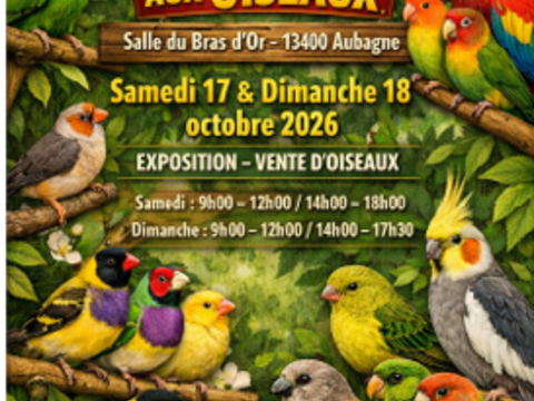 bourse aux oiseaux 2 83330 Le beausset
