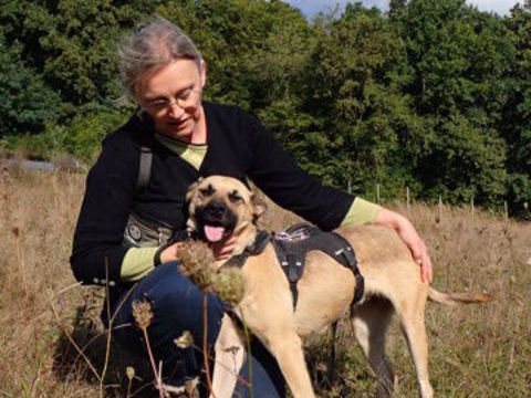 Ivyy à l'adoption, en famille d'accueil actuellement 300 39000 Lons-le-saunier