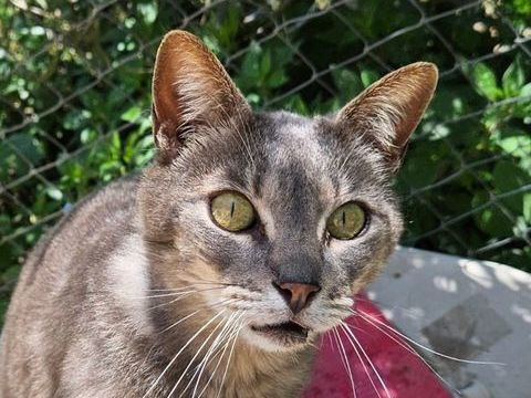 LUCY 230 27620 Gasny