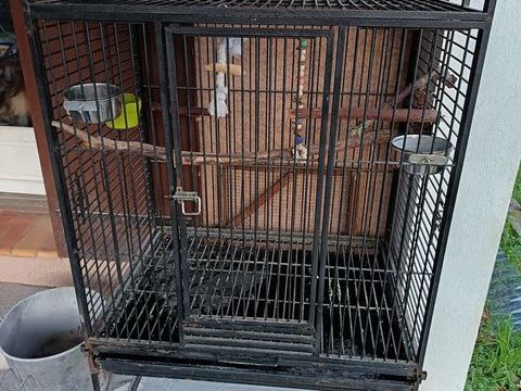 Cage perroquet 50 83136 Forcalqueiret