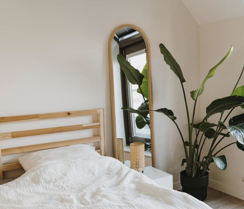 Appartements neufs   Eaunes (31600)