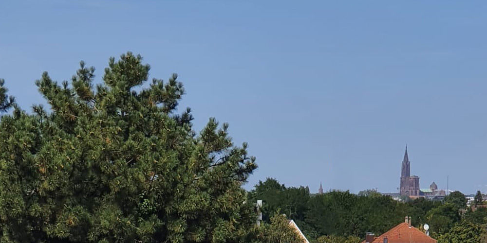 Appartements neufs   Illkirch-Graffenstaden (67400)