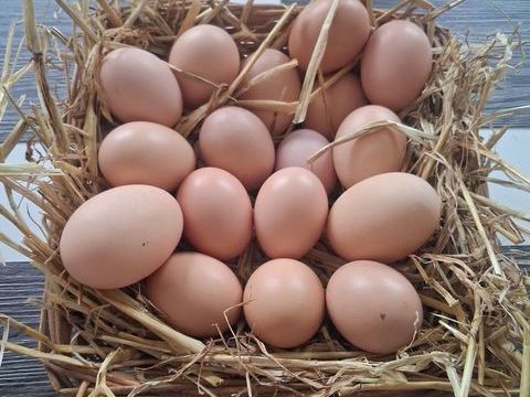 Oeufs frais de la ferme 2 91670 Angerville