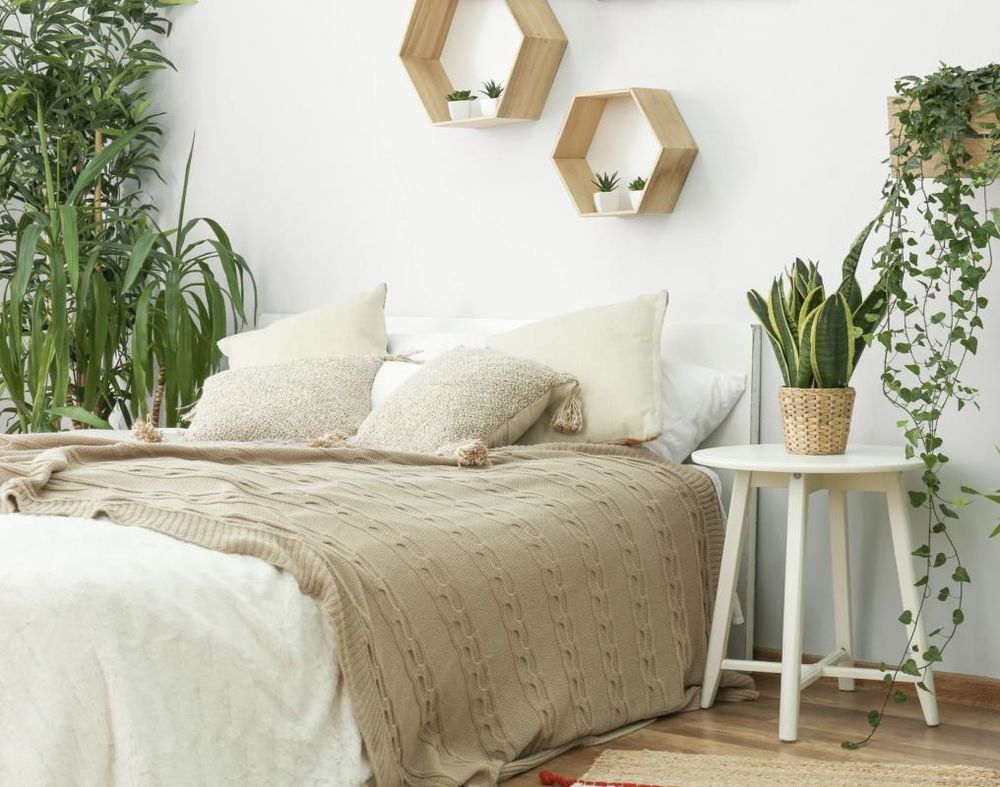 Appartements neufs   Blagnac (31700)