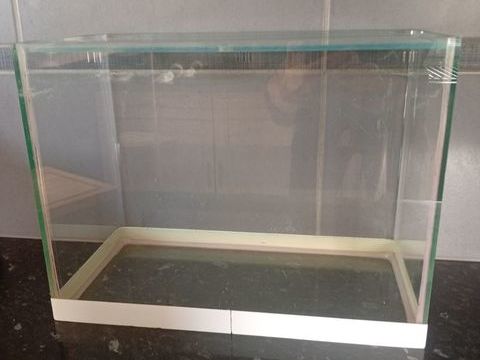 Aquarium 30 35630 La chapelle-chausse