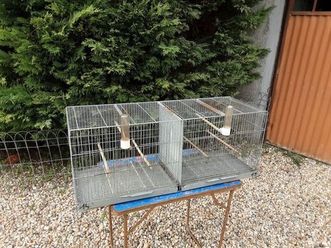 cage d'&eacute;levage canaris 40 33240 Saint-andr�-de-cubzac