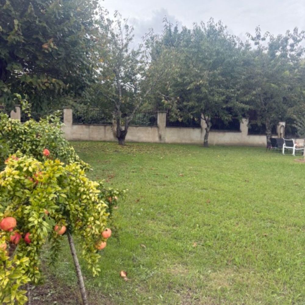 Maisons neuves   Galgon (33133)