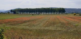  Terrain � vendre 536 m�