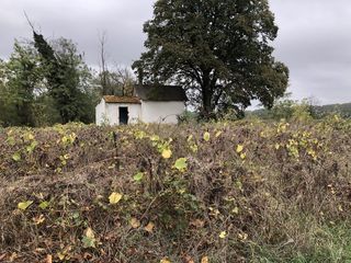  Terrain � vendre 10000 m�