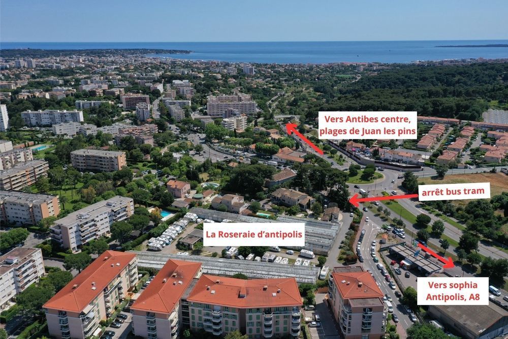 Appartements neufs   Antibes (06600)