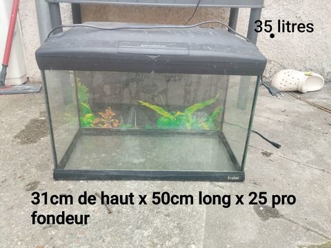 Aquarium de 35l bon &eacute;tat g&eacute;n&eacute;ral 25 60660 Cires-l�s-mello